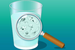 Water Filtration or Water Softener? Know the Difference