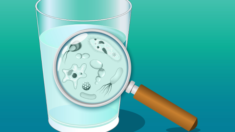 Water Filtration or Water Softener? Know the Difference